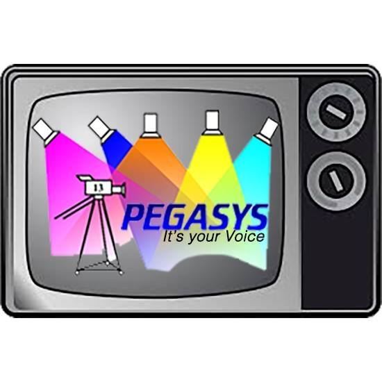 Logo for "Pegasys it's your voice"