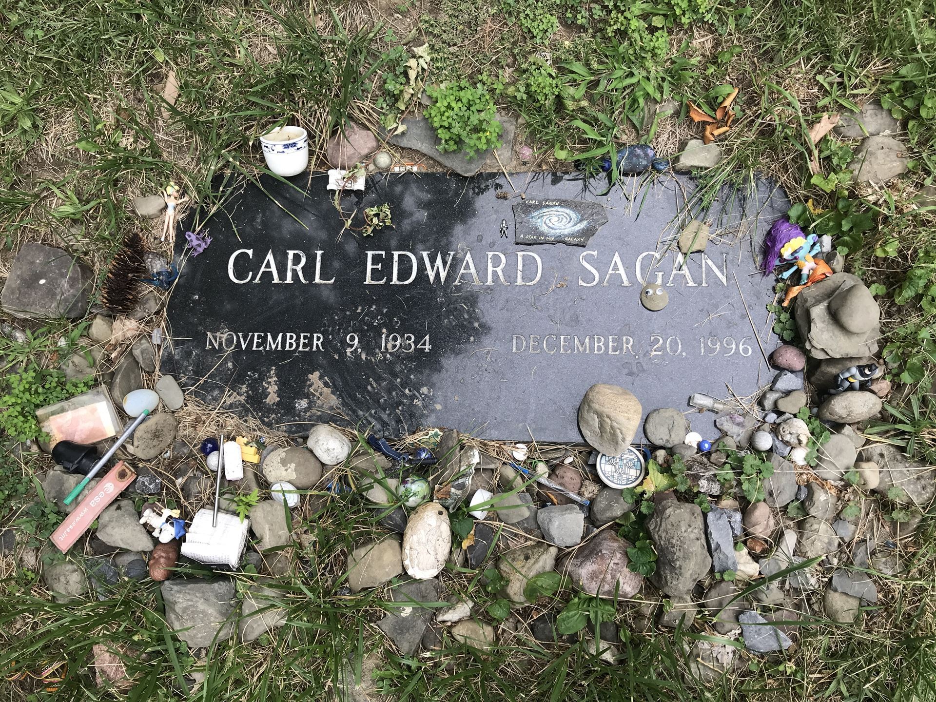 A picture of Carl Sagan's gravestone.