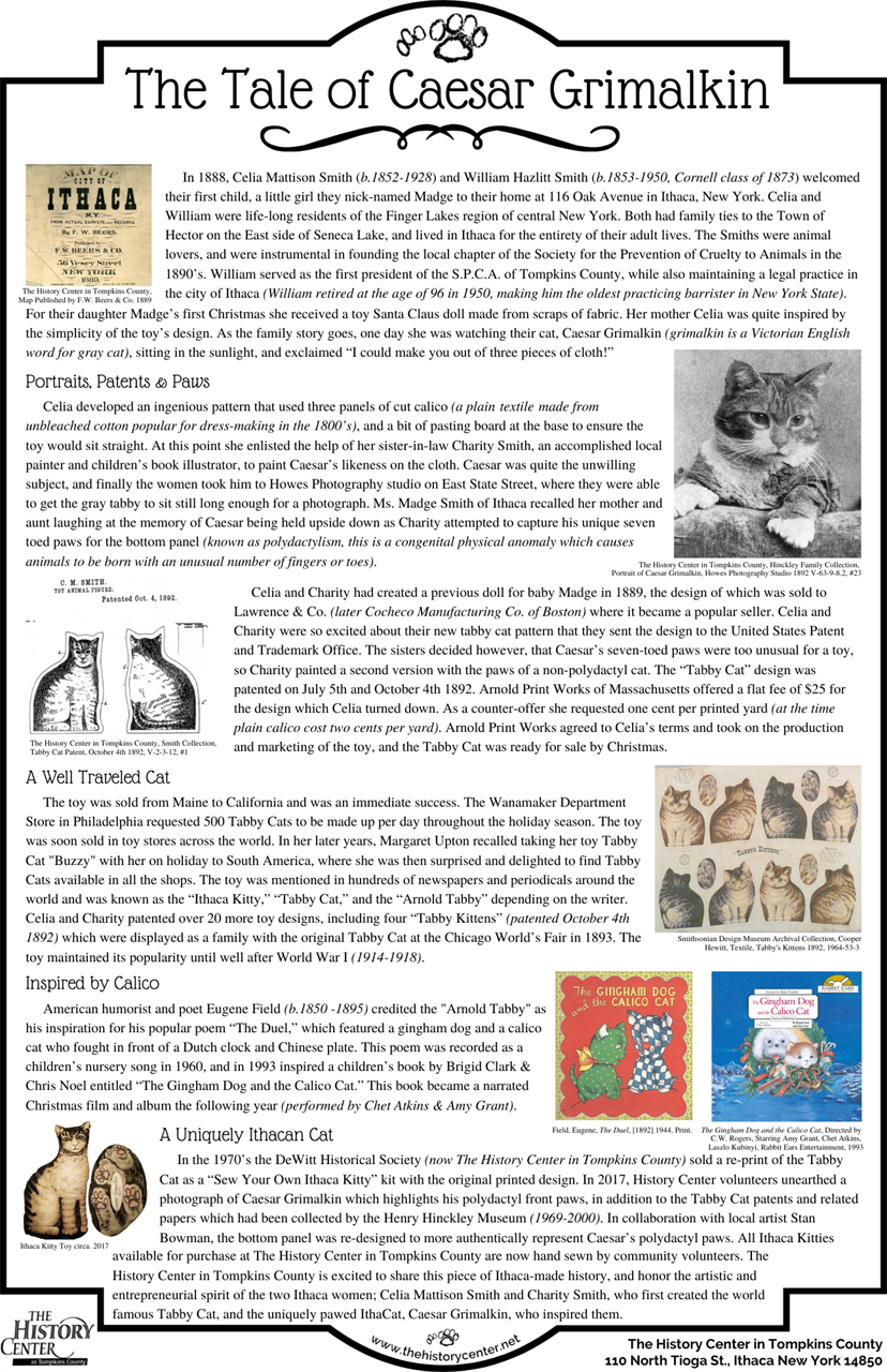 Link/image of a pamphlet with information about the Ithaca Kitty